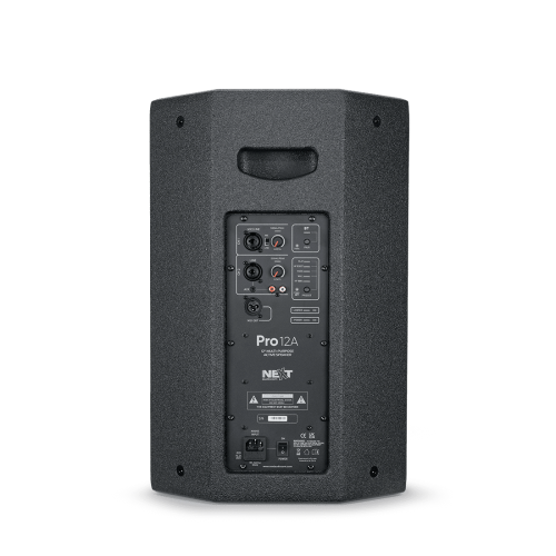 Концертная акустическая система NEXT Audiocom Pro 12A