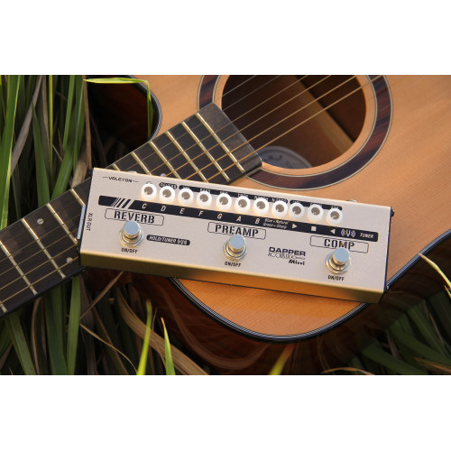 Напольная компактная гитарная педаль Dapper Acoustic Mini Valeton MES-4