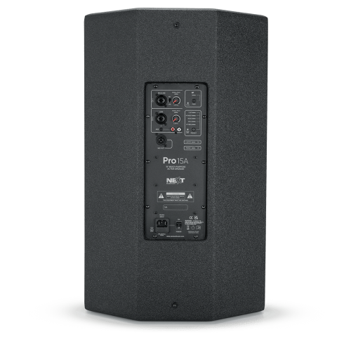 Концертная акустическая система NEXT Audiocom Pro 15A