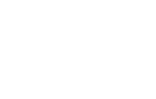mmvsLogo