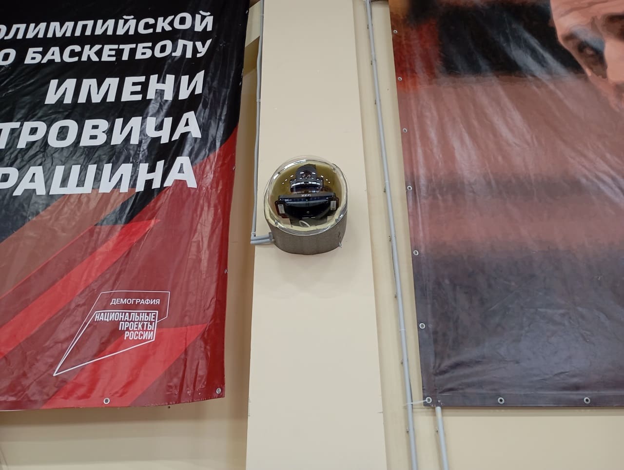 project_basketball_spb5.jpg