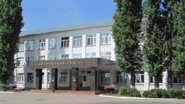 МБОУ «Бобровская СОШ №1», г. Бобров, Воронежская область